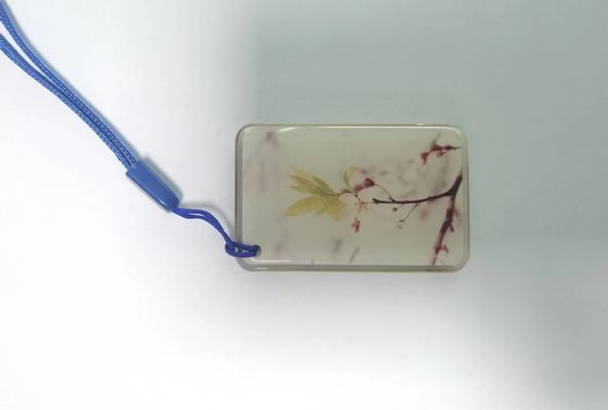 ISO14443A de Markeringen13.56mhz NFC Epoxymarkering van RFID NFC voor Toegangsbeheersysteem